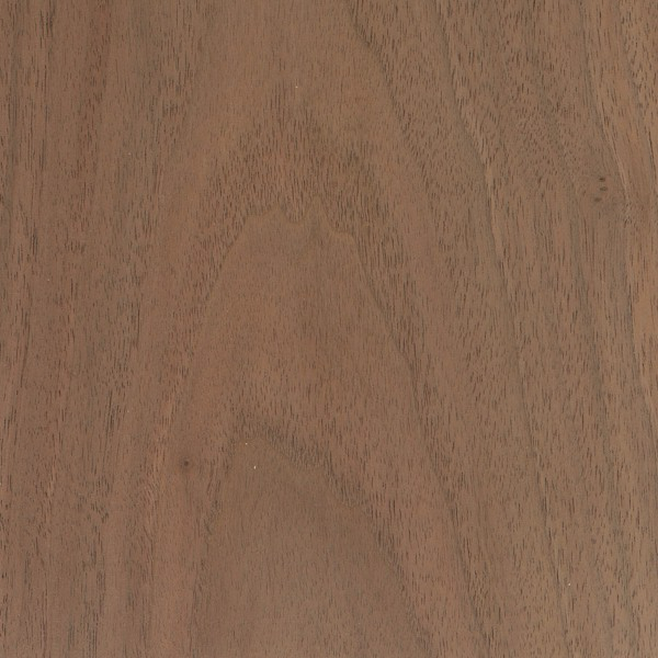 American Black Walnut