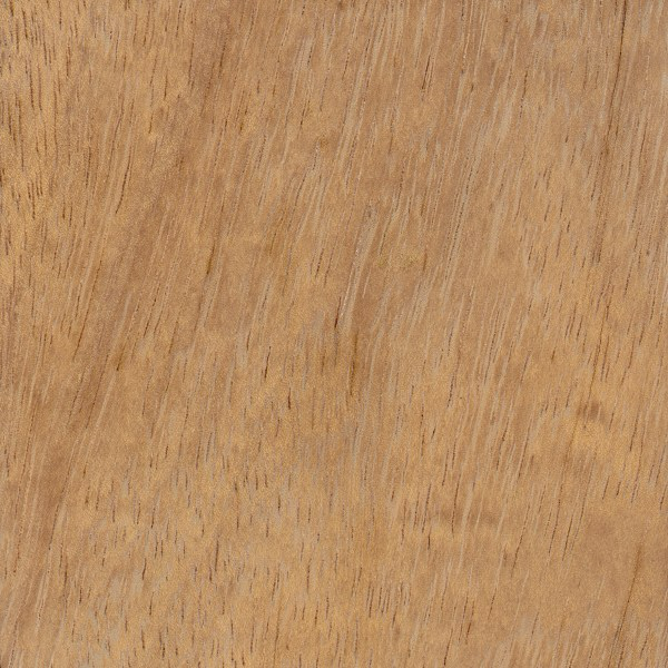 Iroko
